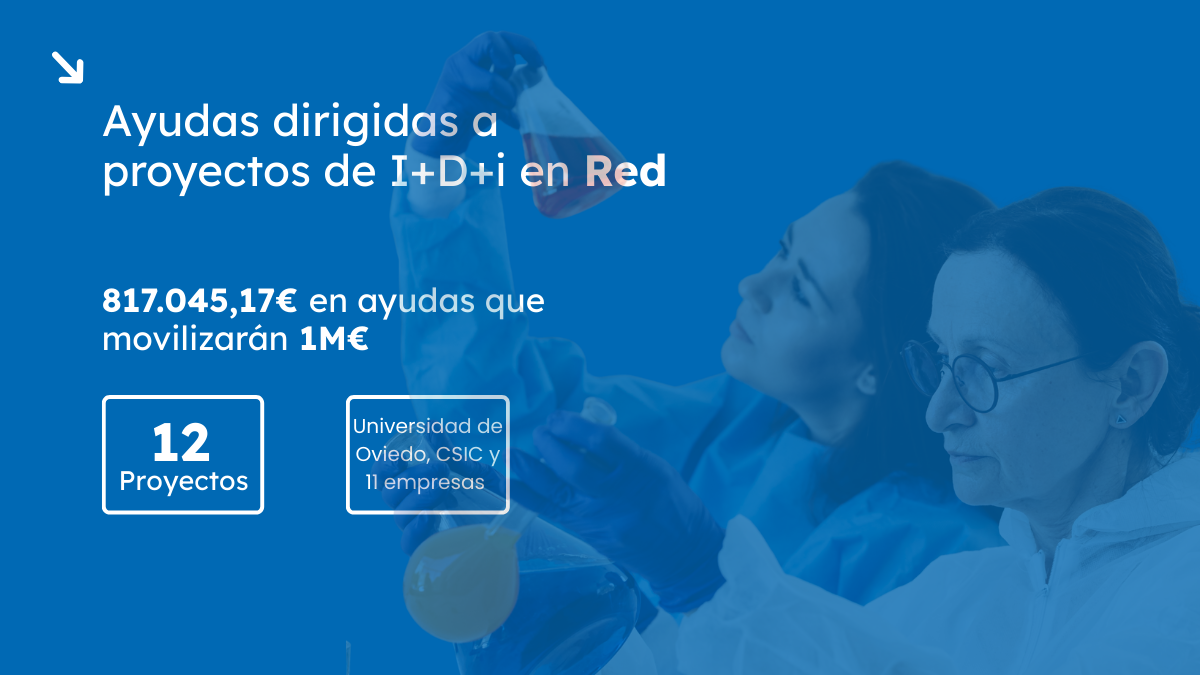 Ayudas I+D+i en red
