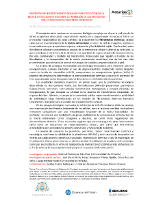 Documento
